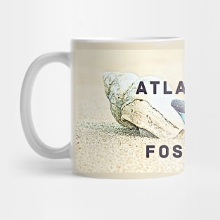 Conch Shell Atlantic Fossils Shark Tooth Mug